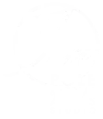 Palestra di pole dance e arti aeree a Bologna